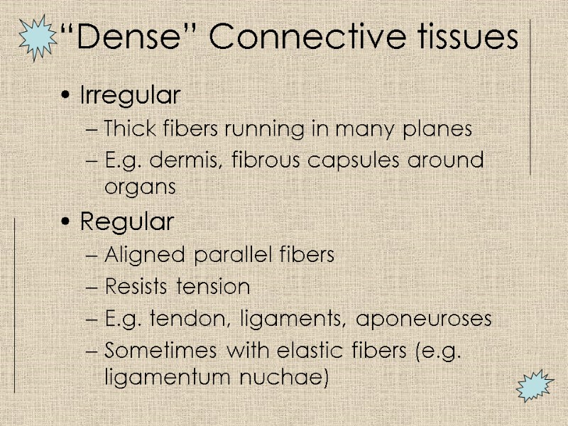 “Dense” Connective tissues Irregular Thick fibers running in many planes E.g. dermis, fibrous capsules